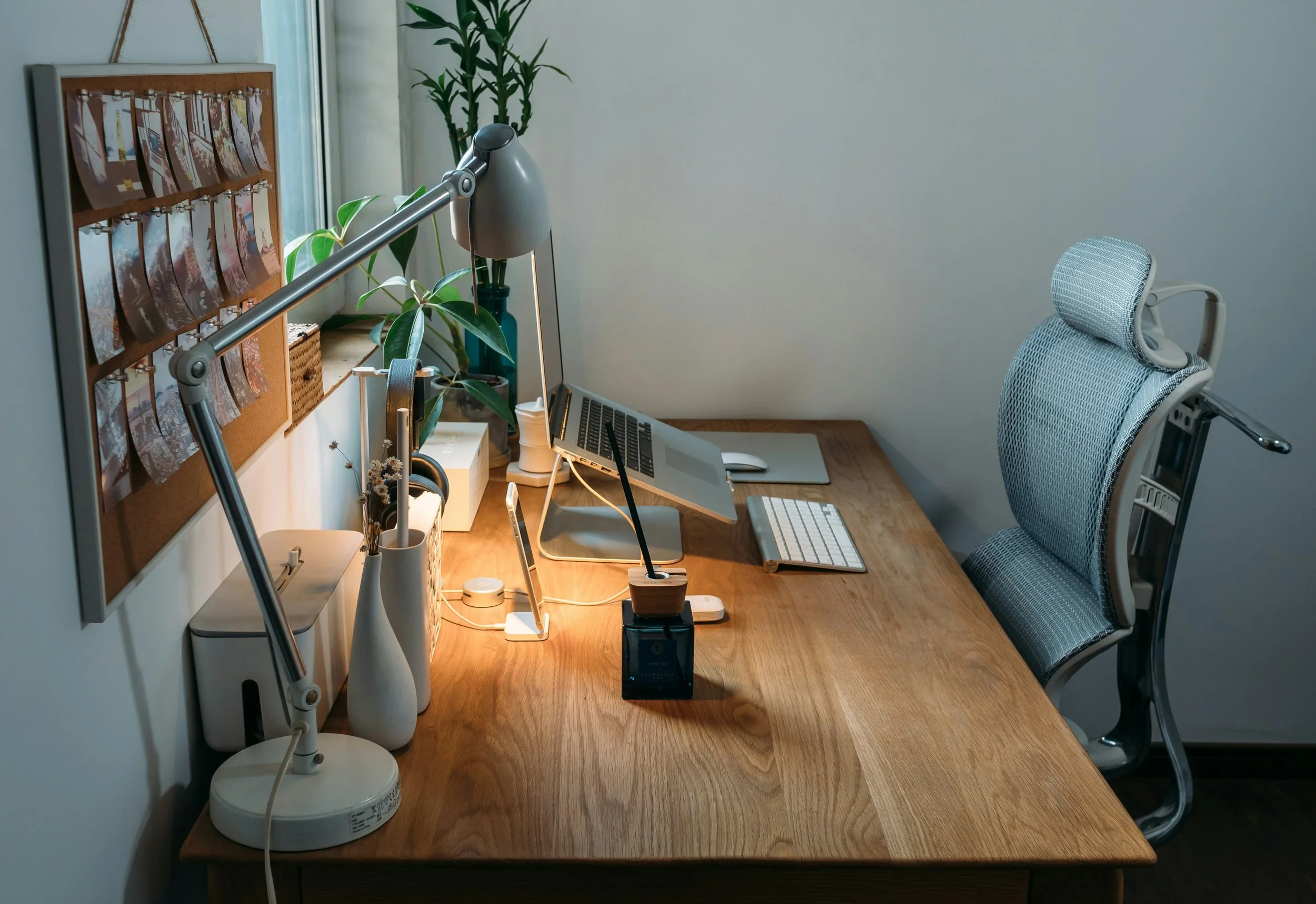 Minimalist home office setup with desk and plant.